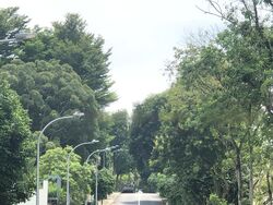 Fifth Avenue (D10), Detached #458878731